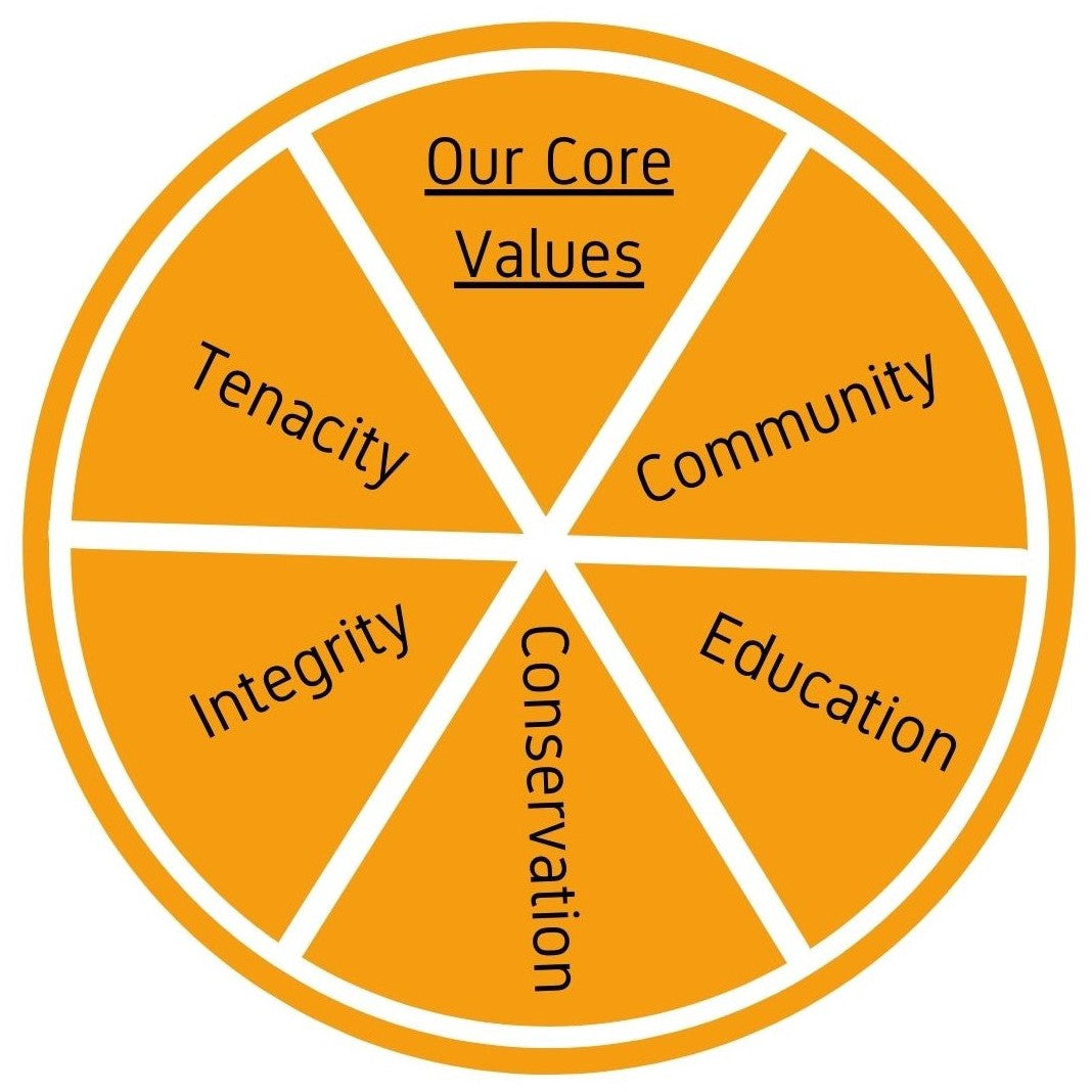 Elementary Resources  Core Essential Values Store